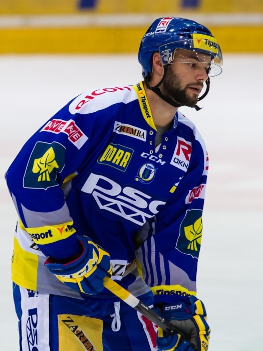 plexi hejduksport extraliga